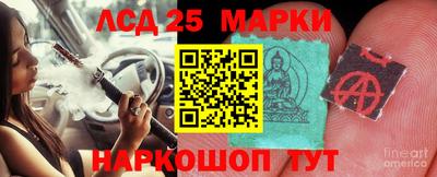 шишки Нарткала