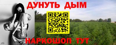 мяу мяу мука Новозыбков