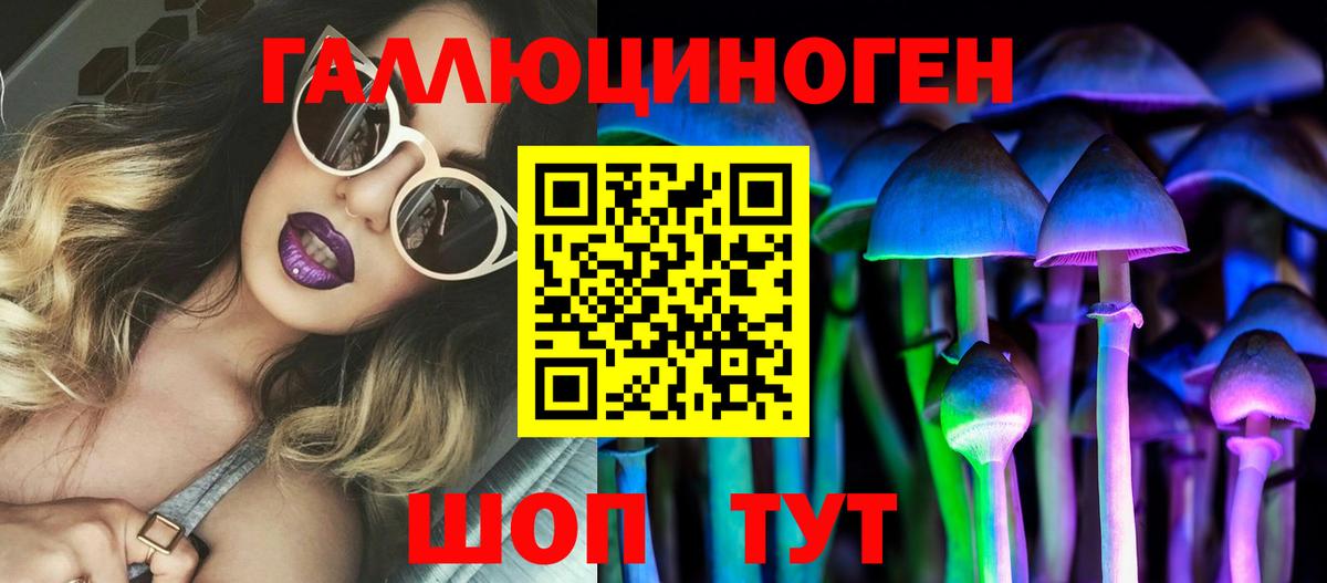 Галлюциногенные грибы Psilocybine cubensis Тайшет